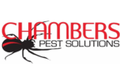 Pest & Insect Control in Perth