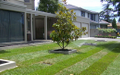 Permeable Paving in Allendale