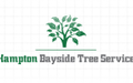 Arborists in Brighton