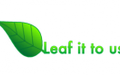 Arborists in Mullumbimby Arborists in Mullumbimby