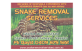 Pest & Insect Control in Lawnton