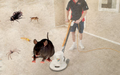 Carpet Cleaning in Marsden