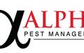 Pest Inspections in Sydney