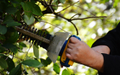 Gardeners in Kiama