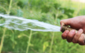 Gardening Supplies in Aberfoyle Park