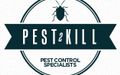 Pest Inspections in Sydney