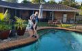 Swimming Pool Maintenance in Gold Coast