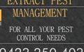 Pest & Insect Control in Wamberal