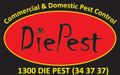 Pest & Insect Control in Marrickville