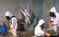 Asbestos Removal in 