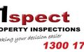 Pest Inspections in Sunbury
