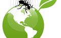 Pest & Insect Control in Nowra