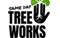 Arborists in Frankston