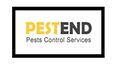 Pest & Insect Control in Brisbane City