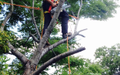 Gardeners in Doonan