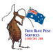 Pest & Insect Control in Enmore