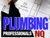 Plumbing Maintenance in Annandale