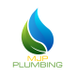 Plumbing Maintenance in Warana