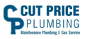 Plumbing Maintenance in Evanston