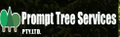 Arborists in Botany Arborists in Botany