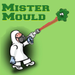 Mould Removal in Perth