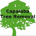 Land & Tree Clearing in Capalaba