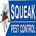 Pest & Insect Control in Melbourne