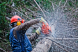 Arborists in Mahogany Creek