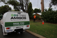 Stump Grinding in Wangara