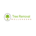 Arborists in Wollongong