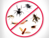 Pest & Insect Control in Adelaide