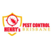 Pest & Insect Control in Brisbane