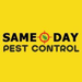 Pest Inspections in Adelaide