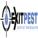 Pest & Insect Control in Melbourne