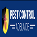 Pest & Insect Control in Adelaide