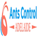 Pest & Insect Control in Adelaide