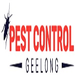 Pest & Insect Control in Geelong