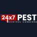 Pest Inspections in Canberra