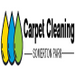 Carpet Cleaning in Somerton Park