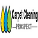 Carpet Cleaning in Prospect