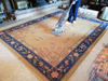 Carpet Cleaning in Barton