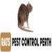 Pest & Insect Control in Perth