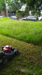 Lawn Mowing in Merrylands