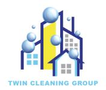 VIN Cleaning Service Logo