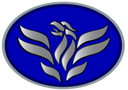 Avion Industries Pty Ltd Logo