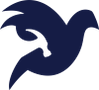 Equine Design Solutions Logo