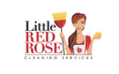 Premium Cleaning Group Logo