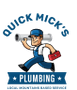 Bula Handyman Services Logo