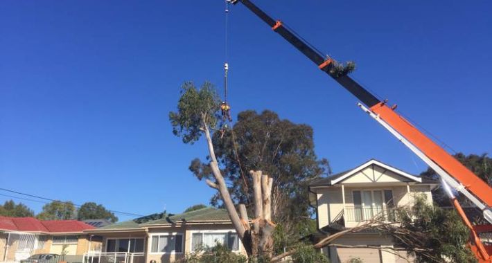 At Your Tree Service Logo