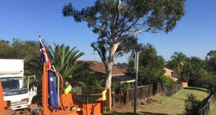 At Your Tree Service Logo